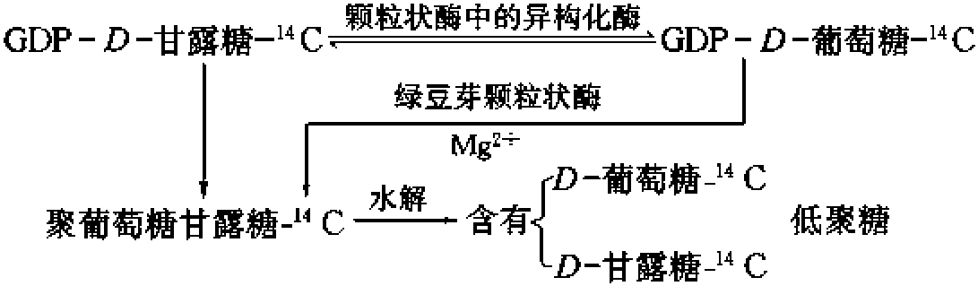 一、半纤维素的生物合成